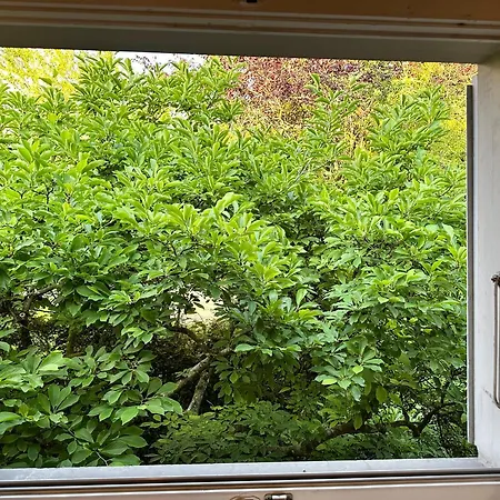 Bears View Bb * ベルン