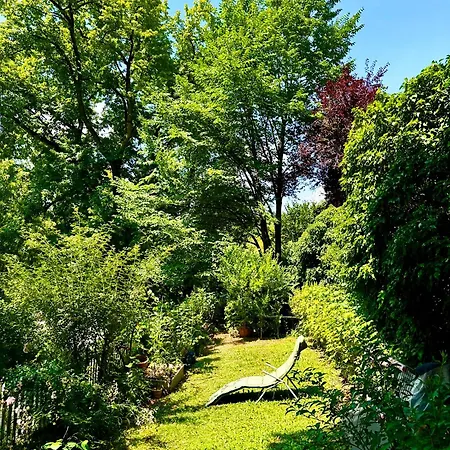 Bears View Bb Берн