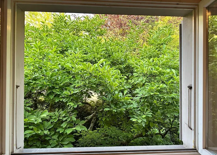 Bears View Bb * Bern