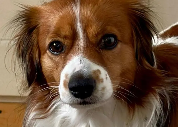 Bears View Bb Rum i privatbostad